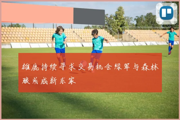 雄鹿持续寻求交易机会绿军与森林狼或成新东家