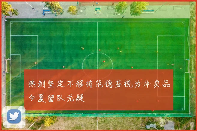 热刺坚定不移将范德芬视为非卖品今夏留队无疑